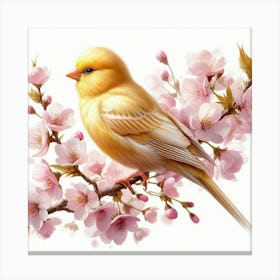 Canary 1 Canvas Print