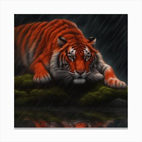 Tiger In The Rain Canvas Print