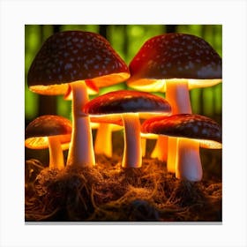 Mushrooms In The Forest Canvas Print