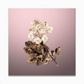 Gold Botanical Oakleaf Hydrangea on Rose Quartz n.0113 Canvas Print