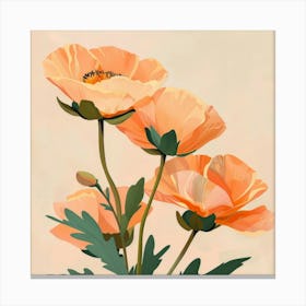 Poppies 41 Canvas Print