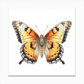 Butterfly 7 Canvas Print