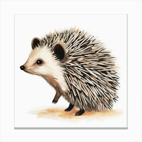 Hedgehog Canvas Print