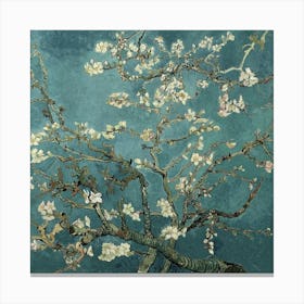 Blossoming Almond Tree 3 Canvas Print