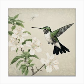 Ohara Koson Inspired Bird Painting Hummingbird 1 Square Canvas Print