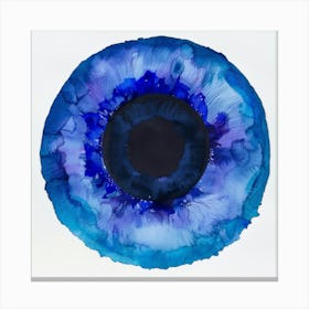 Blue Eye 2 Canvas Print