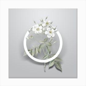 Vintage Musk Rose Minimalist Flower Geometric Circle on Soft Gray n.0275 Canvas Print