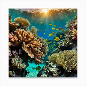 Default Want A Picture Of The Coral Reef At Sunset 0 Canvas Print