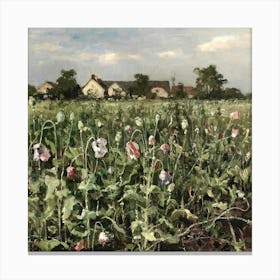 Poppy Field Canvas Print