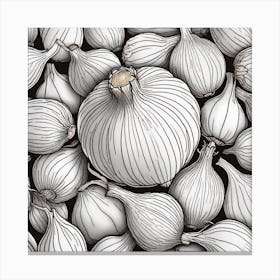 Onion Drawing Canvas Print
