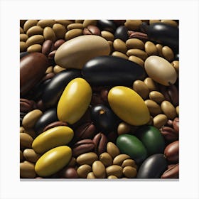 Black Beans 2 Canvas Print