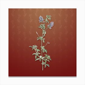 Vintage Spanish Clover Bloom Botanical on Falu Red Pattern n.2172 Canvas Print