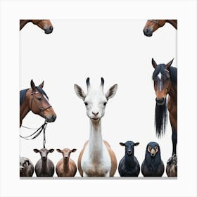 Group Of Horses 2 Canvas Print