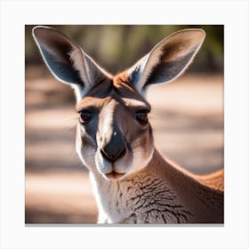 Kangaroo Canvas Print