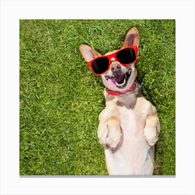 Dog Wearing Sunglasses On The Grass Canvas Print