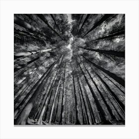 Black And White Forest Canvas Print