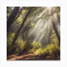 Sunbeams In The Forest Canvas Print