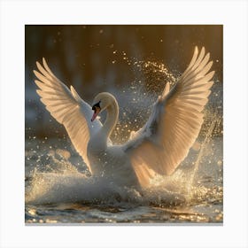 Swan In Flight 2 Canvas Print