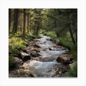 Stream In The Forest Canvas Print