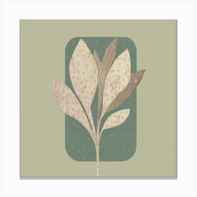 Leaf In A Square Canvas Print