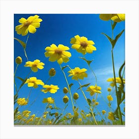 Yellow Flowers In A Field 15 Canvas Print