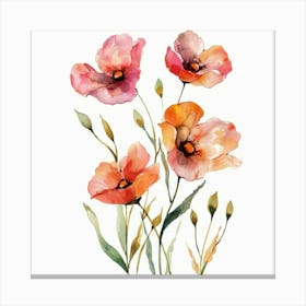 Watercolor Poppies 7 Canvas Print