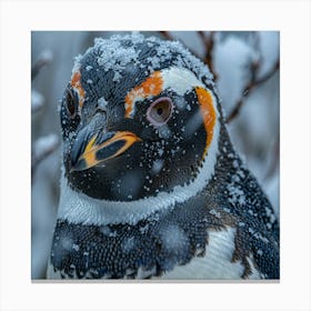 King Penguin 16 Canvas Print