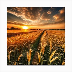 Sunset In A Wheat Field 11 Canvas Print