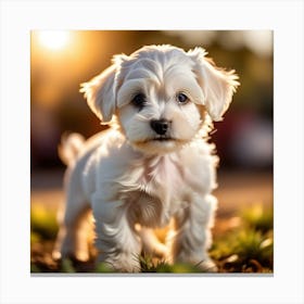 Cute Puppy 1 Canvas Print