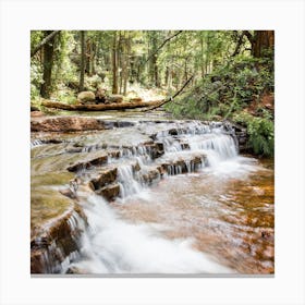 Forest Waterfall Square Canvas Print