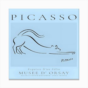 Picasso 2 Canvas Print