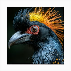 Pheasant Bird Canvas Print