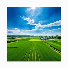 Green Farm Nature Field Landscape Countryside Agriculture Grass Gold Grow Japan Air Plan (8) Canvas Print