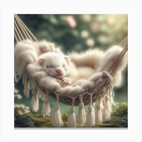 Ferret Sleeping In A Hammock 4 Canvas Print