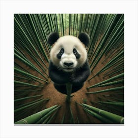 Panda Bear In Bamboo Forest 5 Canvas Print