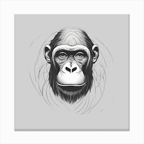 Chimpanzee Head Canvas Print