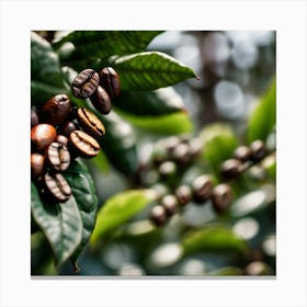 Coffee Beans On A Tree 59 Canvas Print