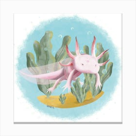 Axolotl/Axolot Canvas Print