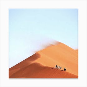 Sand Dunes In Namibia Canvas Print