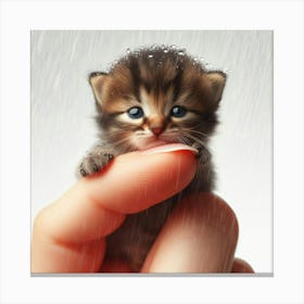 Kitten In Rain Canvas Print