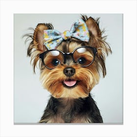 Yorkshire Terrier Dog With Glasses Canvas Print