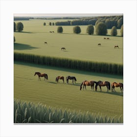 Horses In A Field 12 Canvas Print