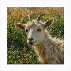 Goat In A Field Canvas Print