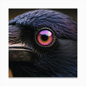 Crows Canvas Print