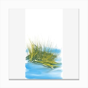 Palude Canvas Print