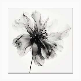 Black And White Flower Canvas Print