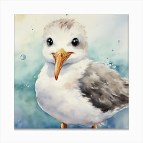 Seagull Canvas Print