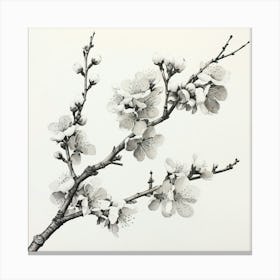 Ink Cherry Blossoms Branches 1 Canvas Print