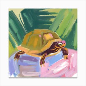 Box Turtle 04 Canvas Print