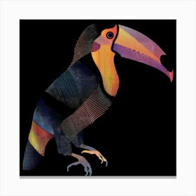 Toucan 14 Canvas Print